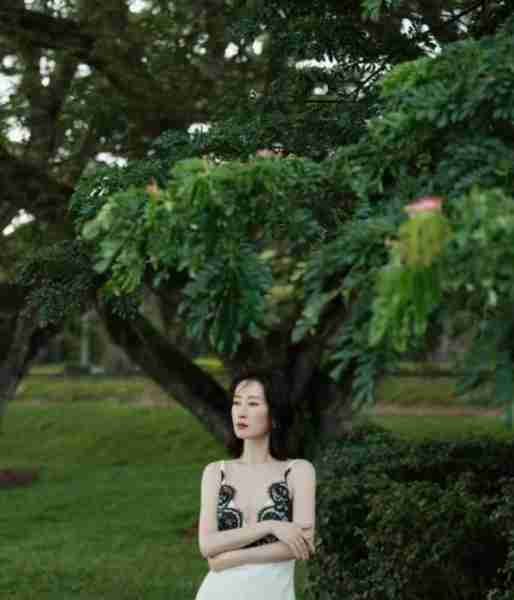 风韵犹存刘敏涛-第9张图片-九妖电影