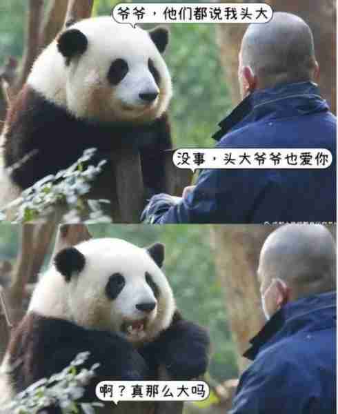 龙年春晚值得期待的四位明星,越剧演员、列车员和饲养员-第7张图片-九妖电影 龙年春晚值得期待的四位明星,越剧演员、列车员和饲养员-第7张图片-九妖电影