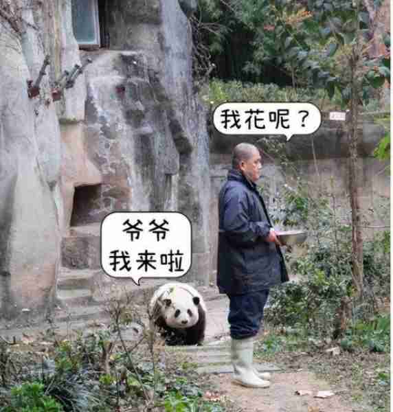 龙年春晚值得期待的四位明星,越剧演员、列车员和饲养员-第8张图片-九妖电影 龙年春晚值得期待的四位明星,越剧演员、列车员和饲养员-第8张图片-九妖电影