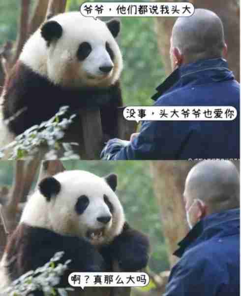 龙年春晚有四位明星备受期待，越剧演员、列车员和饲养员-第7张图片-九妖电影