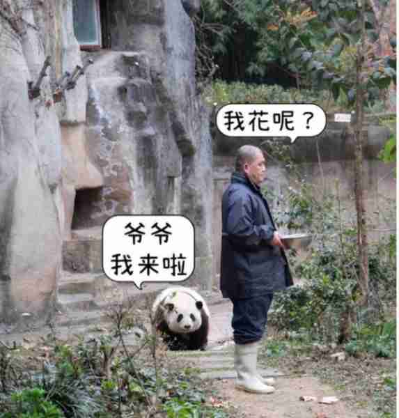 龙年春晚有四位明星备受期待，越剧演员、列车员和饲养员-第8张图片-九妖电影