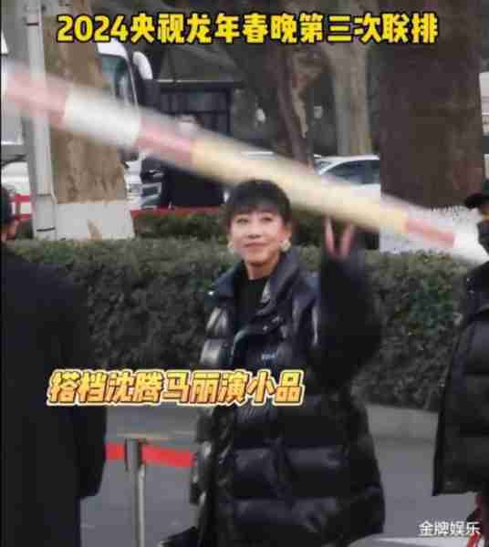 龙年春晚语言类节目大局已定！岳云鹏贾冰沈腾挑大梁-第4张图片-九妖电影