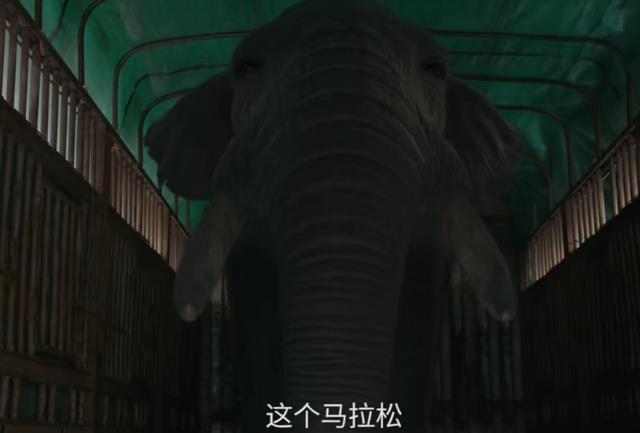 明晚开播!王志文主演,我难掩激动,终于有像样的悬疑喜剧了-第25张图片-九妖电影 明晚开播!王志文主演,我难掩激动,终于有像样的悬疑喜剧了-第25张图片-九妖电影