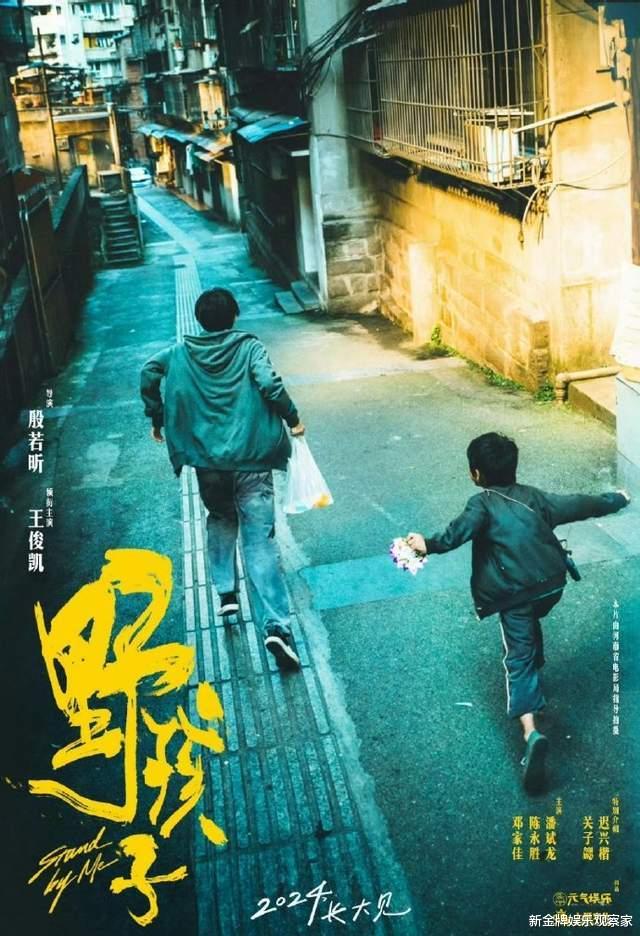 野孩子预售11个小时破500万，却在提档当天撤档？王俊凯太吃亏了-第5张图片-九妖电影