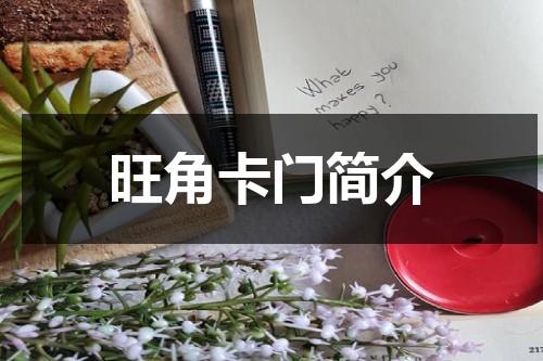 旺角卡门简介-第1张图片-九妖电影