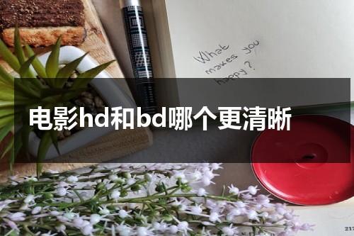 电影hd和bd哪个更清晰-第1张图片-九妖电影