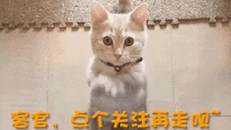 伸舌头、嘴亲肿、面条吻，这些“中老年”演员拍吻戏，个个辣眼睛-第22张图片-九妖电影
