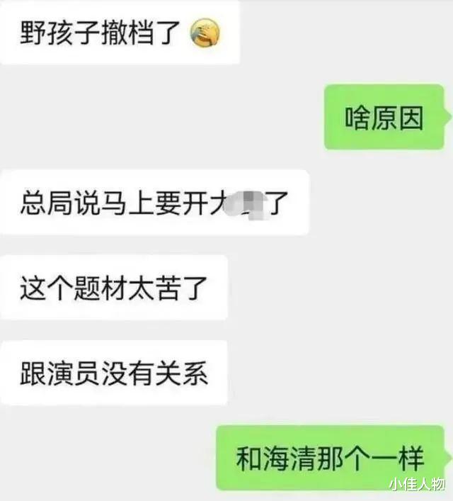 《野孩子》撤档!上午提档下午撤档,原因曝光,王俊凯评论区沦陷-第7张图片-九妖电影 《野孩子》撤档!上午提档下午撤档,原因曝光,王俊凯评论区沦陷-第7张图片-九妖电影