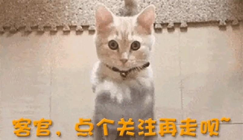 丢人现眼，被央视怒批，不识字，没文化！娱乐圈的文盲太多了！-第18张图片-九妖电影