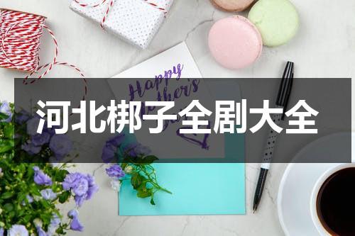 河北梆子全剧大全-第1张图片-九妖电影