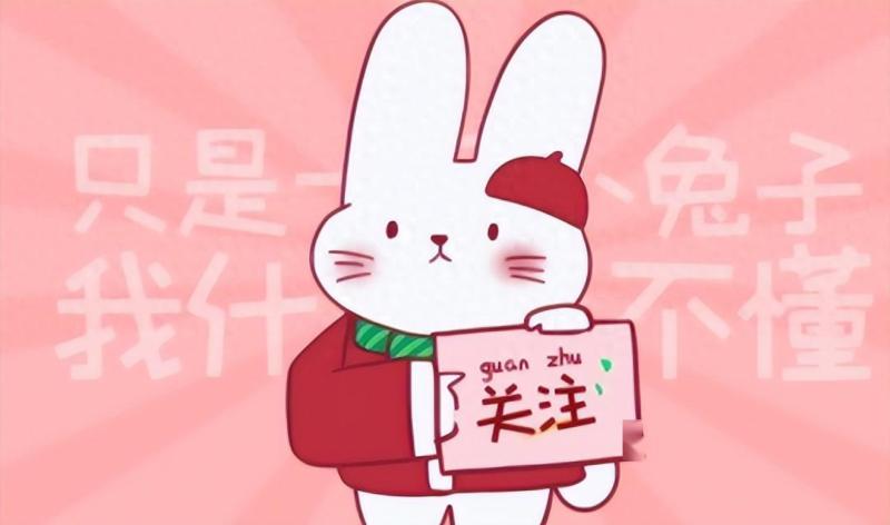 风向急转！倪海杉事业遭受重创，九红闻讯紧急撤退，姚永纯被TA！-第1张图片-九妖电影