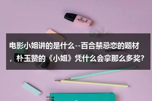 电影小姐讲的是什么--百合禁忌恋的题材，朴玉赞的《小姐》凭什么会拿那么多奖？-第1张图片-九妖电影