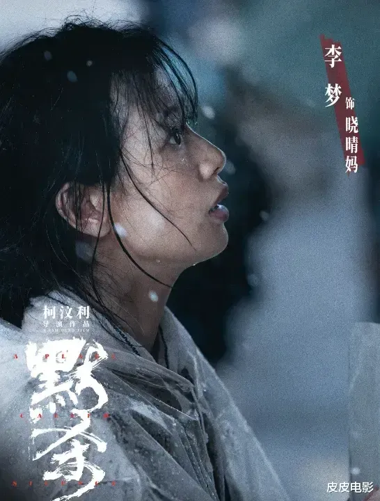 给《默杀》“演技最好10位演员”排名：李梦第9名，第1名没有争议-第9张图片-九妖电影