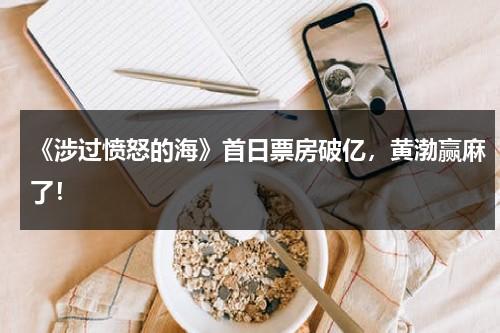 《涉过愤怒的海》首日票房破亿，黄渤赢麻了！-第1张图片-九妖电影