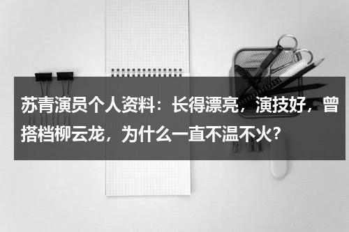 苏青演员个人资料：长得漂亮，演技好，曾搭档柳云龙，为什么一直不温不火？-第1张图片-九妖电影
