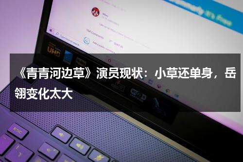 《青青河边草》演员现状：小草还单身，岳翎变化太大-第1张图片-九妖电影