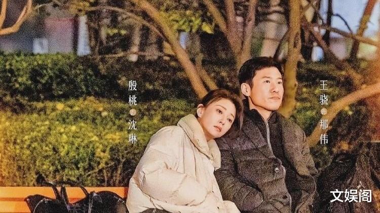 央八又上新剧啦！上线仅6天收视率全破1，全员选角太意外了（央8播出的电视剧）-第6张图片-九妖电影