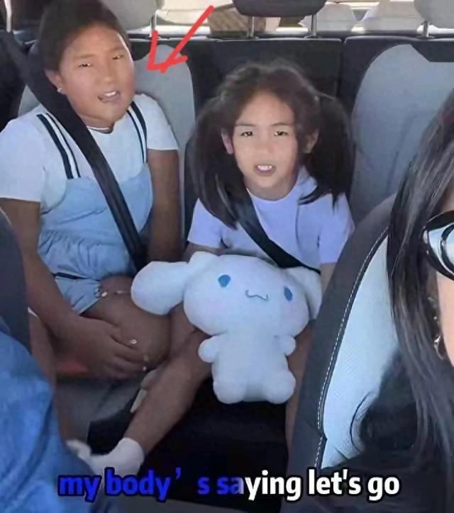 何洁大方晒儿女,大女儿身材圆润,与妹妹颜值差距大,本人却瘦了(何洁现状老公)-第1张图片-九妖电影 何洁大方晒儿女,大女儿身材圆润,与妹妹颜值差距大,本人却瘦了(何洁现状老公)-第1张图片-九妖电影