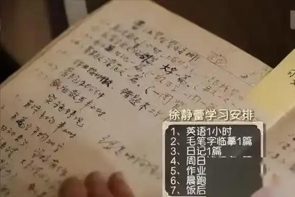 风流徐静蕾，半百依旧，她的爱情游戏何时才结束？（徐静蕾婚恋观）-第3张图片-九妖电影