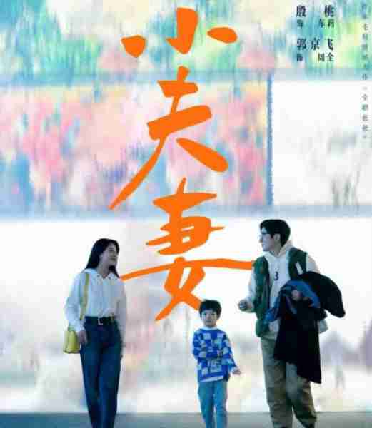 《小夫妻》空降央八，4位实力派演员压轴，央视抽到“王炸”了（小夫妻电视剧大结局）-第7张图片-九妖电影