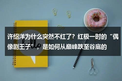 许绍洋为什么突然不红了？红极一时的“偶像剧王子”，是如何从巅峰跌至谷底的-第1张图片-九妖电影