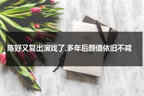 陈好又复出演戏了,多年后颜值依旧不减-第1张图片-九妖电影