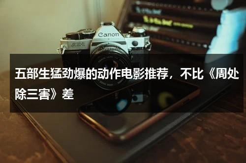 五部生猛劲爆的动作电影推荐，不比《周处除三害》差-第1张图片-九妖电影