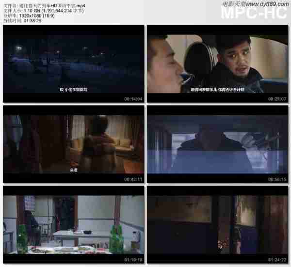 2019年国产6.2分爱情片《通往春天的列车》HD国语中字-第2张图片-九妖电影
