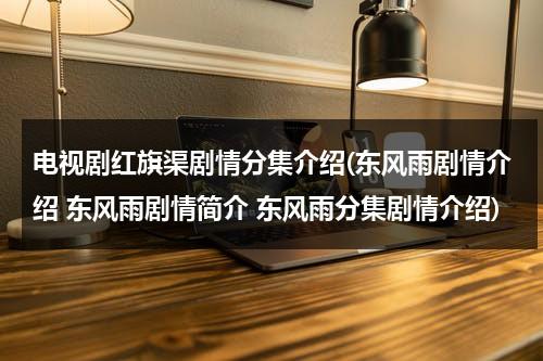电视剧红旗渠剧情分集介绍(东风雨剧情介绍 东风雨剧情简介 东风雨分集剧情介绍)-第1张图片-九妖电影