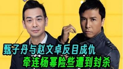 赵文卓与甄子丹：武星争霸背后的恩怨情仇解析-第1张图片-九妖电影