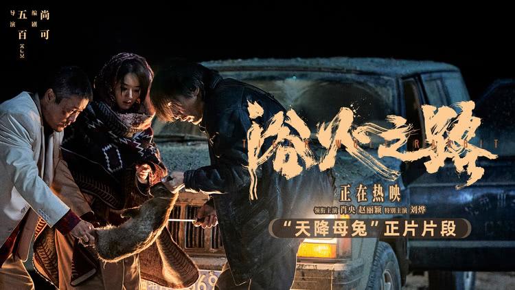 电影《浴火之路》释单场戏 肖央赵丽颖刘烨遇风暴降“神兔”-第1张图片-九妖电影