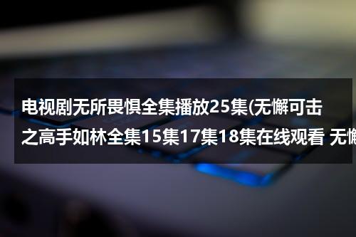 电视剧无所畏惧全集播放25集(无懈可击之高手如林全集15集17集18集在线观看 无懈可击之高手如林大结局剧情介绍在线观看下载15集17集18集)-第1张图片-九妖电影