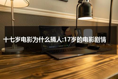 十七岁电影为什么捅人:17岁的电影剧情-第1张图片-九妖电影