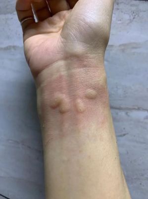 南派三叔被抓入狱？真相揭秘与近况分析-第1张图片-九妖电影