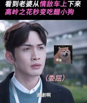 张彬彬个人资料揭秘：从演员到歌手的成长之路-第1张图片-九妖电影