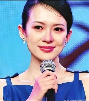 章子怡汪峰离婚传闻：霸气回应揭三重门事件真相-第1张图片-九妖电影
