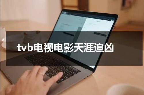 tvb电视电影天涯追凶（我想看天涯追缉令）-第1张图片-九妖电影