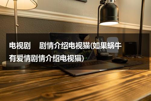 电视剧    剧情介绍电视猫(如果蜗牛有爱情剧情介绍电视猫)（如果蜗牛有爱情小说结局什么意思）-第1张图片-九妖电影