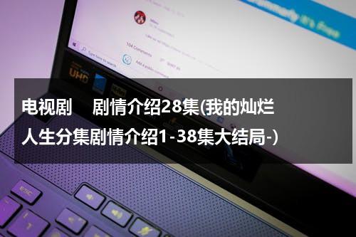 电视剧    剧情介绍28集(我的灿烂人生分集剧情介绍1-38集大结局-)（韩剧我的灿烂人生共多少集）-第1张图片-九妖电影