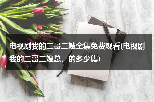 电视剧我的二哥二嫂全集免费观看(电视剧我的二哥二嫂总，的多少集)（电视剧我的二哥二嫂第40集在线看视频）-第1张图片-九妖电影