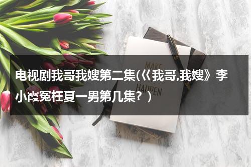 电视剧我哥我嫂第二集(巜我哥,我嫂》李小霞冤枉夏一男第几集？)（我哥我嫂夏一男图片）-第1张图片-九妖电影