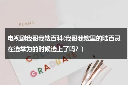 电视剧我哥我嫂百科(我哥我嫂里的陆百灵在选举为的时候选上了吗？)（我哥我嫂陆百灵变好了吗）-第1张图片-九妖电影
