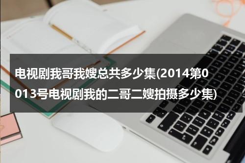 电视剧我哥我嫂总共多少集(2014第0013号电视剧我的二哥二嫂拍摄多少集)（我哥我嫂二哥结局）-第1张图片-九妖电影