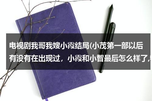电视剧我哥我嫂小霞结局(小茂第一部以后有没有在出现过，小霞和小智最后怎么样了,特别篇里有没有小霞特别篇里有没有动画版的？)（电视剧我哥我嫂的结局是什么）-第1张图片-九妖电影