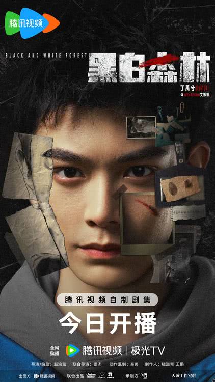 《黑白森林》今日开播，丁禹兮宁理深入人性丛林解谜寻真-第2张图片-九妖电影