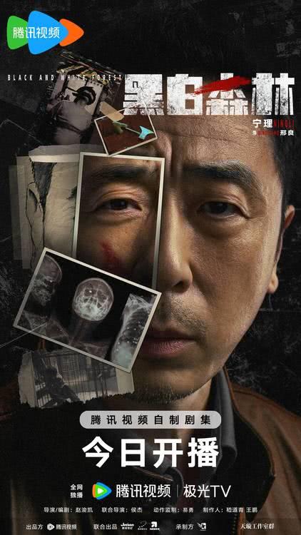 《黑白森林》今日开播，丁禹兮宁理深入人性丛林解谜寻真-第3张图片-九妖电影