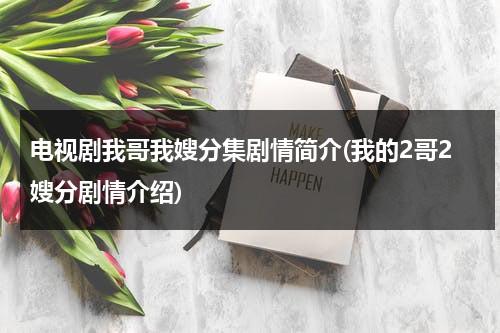 电视剧我哥我嫂分集剧情简介(我的2哥2嫂分剧情介绍)（我哥我嫂电视剧二哥第几集醒的）-第1张图片-九妖电影