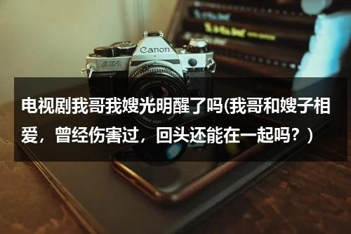 电视剧我哥我嫂光明醒了吗(我哥和嫂子相爱，曾经伤害过，回头还能在一起吗？)（我哥我嫂大结局光明好了吗）-第1张图片-九妖电影