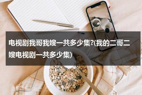 电视剧我哥我嫂一共多少集?(我的二哥二嫂电视剧一共多少集)（我哥我嫂二哥结局）-第1张图片-九妖电影