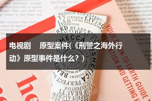 电视剧    原型案件(《刑警之海外行动》原型事件是什么？)（刑警之海外行动三个案子）-第1张图片-九妖电影